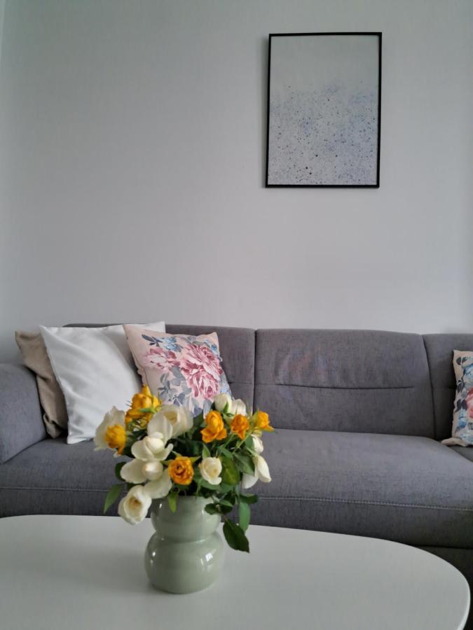 Apartament Onestilor Lägenhet Oradea Exteriör bild